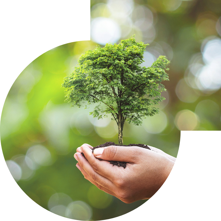 关怀人类、文化、环境与社会